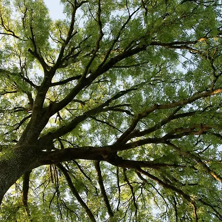 La Plonploniere بيت ضيافة 3*